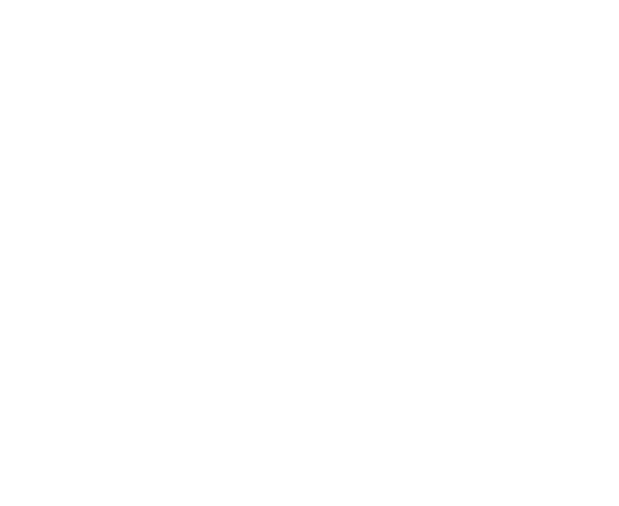 Logo white